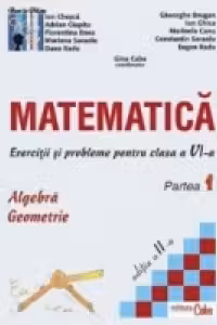 Matematica - exercitii si probleme pentru clasa a VI-a, partea I