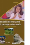 Jucarii interesante si peisaje minunate. Auxiliar educatie plastica pentru clasa IV-a
