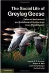 The Social Life of Greylag Geese: Patterns, Mechanisms and Evolutionary Function in an Avian Model System - Isabella B. R. Scheiber, Brigitte M. Weib, Josef Hemetsberger, Kurt Kotrschal