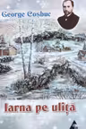 Iarna pe ulita. Poezii