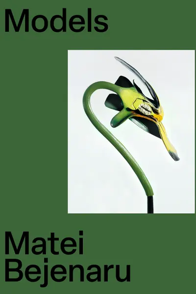 Models - Matei Bejenaru