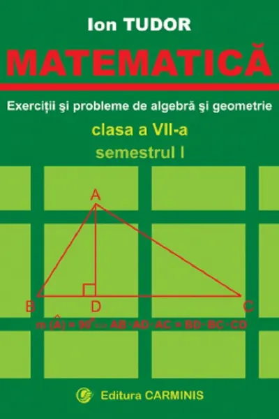 Matematică. Exerciții și probleme de algebră și geometrie - Clasa 7 - Semestrul 1
