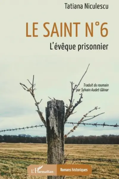 Le saint n 6