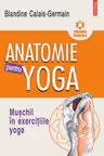 Anatomie pentru yoga