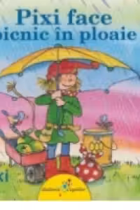 Pixi face picnic in ploaie