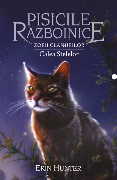 Pisicile razboinice vol.30-Zorii Clanurilor.CaleaStelelor