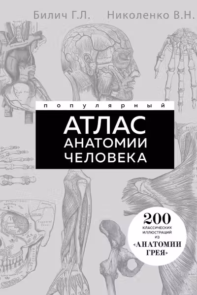 Популярный атлас анатомии человека. Анатомия Грея. 200 классических иллюстраций