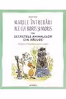 MARILE INTREBARI ALE LUI BORIS SI MORIS SAU SECRETELE ANIMALELOR DIN PADURE.