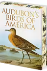 Audubon's Birds of America
