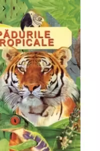 Padurile tropicale