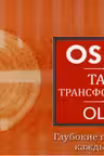 Таро Трансформации. Глубокие прозрения — каждый день. (брошюра)
