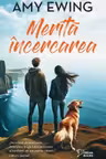 Dream Books. MERITA INCERCAREA.