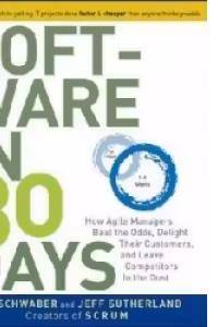 Software In 30 Days