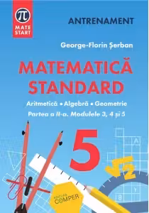 MATEMATICA STANDARD clasa a 5-a. Aritmetica, algebra, geometrie. Partea 2
