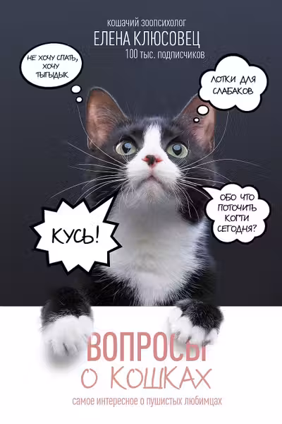 Вопросы о кошках. Самое интересное о пушистых любимцах