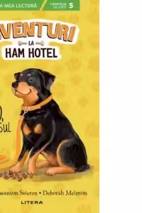 Aventuri la Ham Hotel. Fido, fortosul