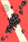 Southern Reach: Annihilation (Book 1)