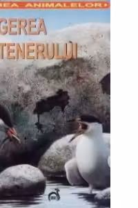 Lumea animalelor - Alegerea partenerului