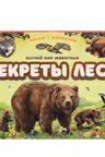 Плакат с окошками. Секреты леса