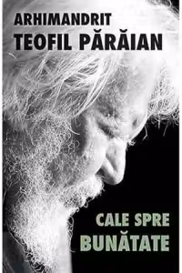 Cale spre bunatate