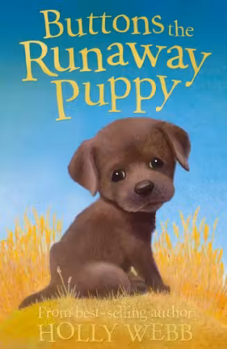 Buttons the Runaway Puppy (Holly Webb Series 1)