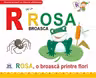 R de la Rosa, broasca. Necartonata - Greta Cencetti