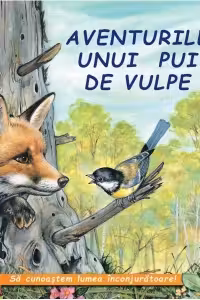 Aventurile unui pui de vulpe