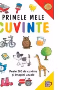 Primele mele cuvinte - Peste 300 de cuvinte si imagini uzuale