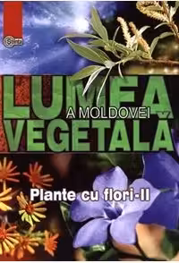 Lumea Vegetala a Moldovei. Vol.3. Plante cu flori 2