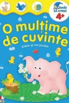 Invat sa citesc. O multime de cuvinte