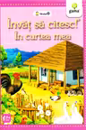 In curtea mea