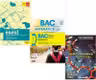 Pachet Bacalaureat 2026. Eseul. Literatura Romana. Pregatire individuala pentru proba scrisa, Matematica si Chimie organica pentru liceu. Sinteze. Probleme. Teste - Liliana Paicu, Radu Gologan, Elena Alexandrescu