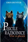 Pisicile razboinice vol.2