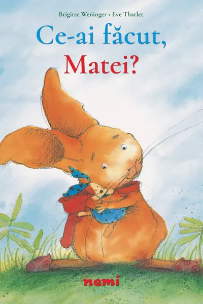Ce-ai facut, Matei?