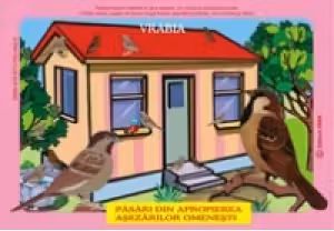 Planșe: Păsări din fauna României care trăiesc în apropierea așezărilor omenești
