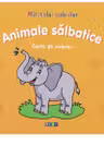Miracolul culorilor Animale salbatice