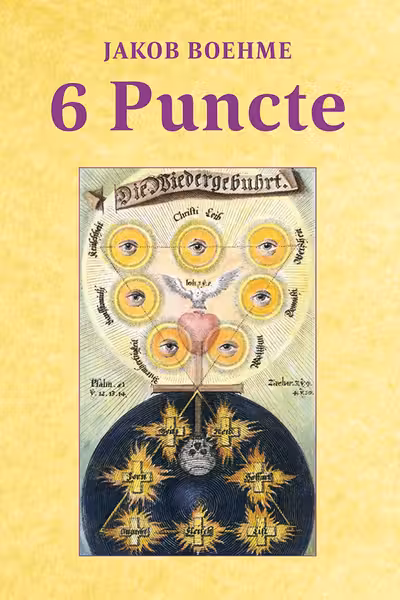 6 Puncte