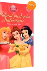 Palatul printeselor stralucitoare - Carte cu jocuri logice