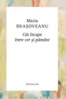 Cât încape între cer și pământ