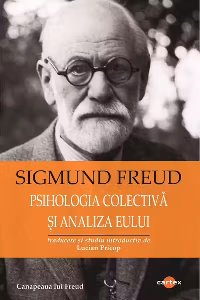 Psihologia colectiva si analiza Eului