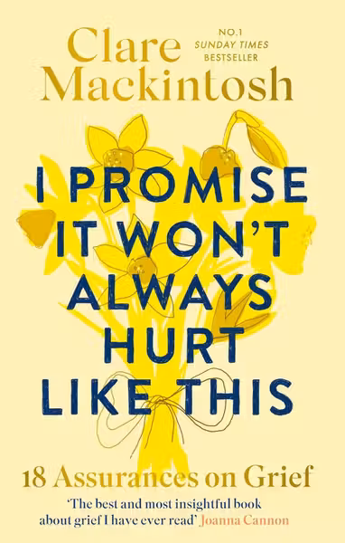 I Promise It Won't Always Hurt Like This