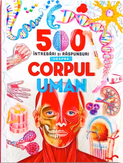 500 intrebari si raspunsuri despre corpul uman