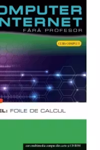 Computer si internet v.7 +CD Excel:Foile de calcul