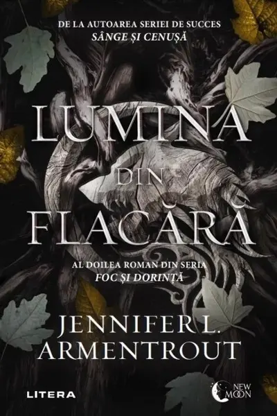 Lumina din flacara