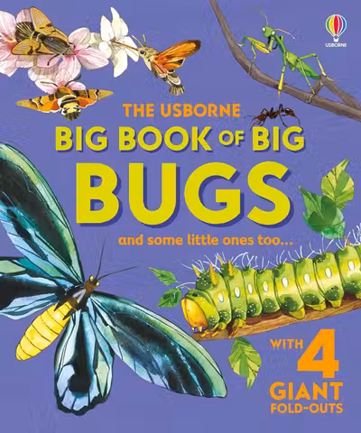 Big Book of Big Bugs