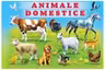 Animale domestice﻿