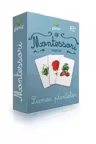 Vocabular. Lumea plantelor