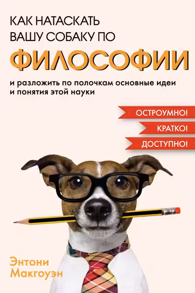 Как натаскать вашу собаку по философии и разложить по полочкам основные идеи и понятия этой науки