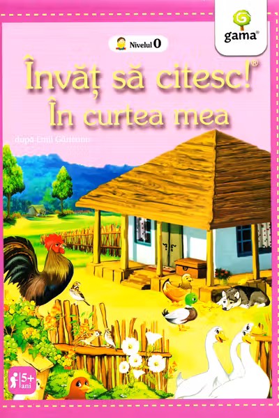 In curtea mea