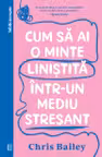 Cum sa ai o minte linistita intr-un mediu stresant